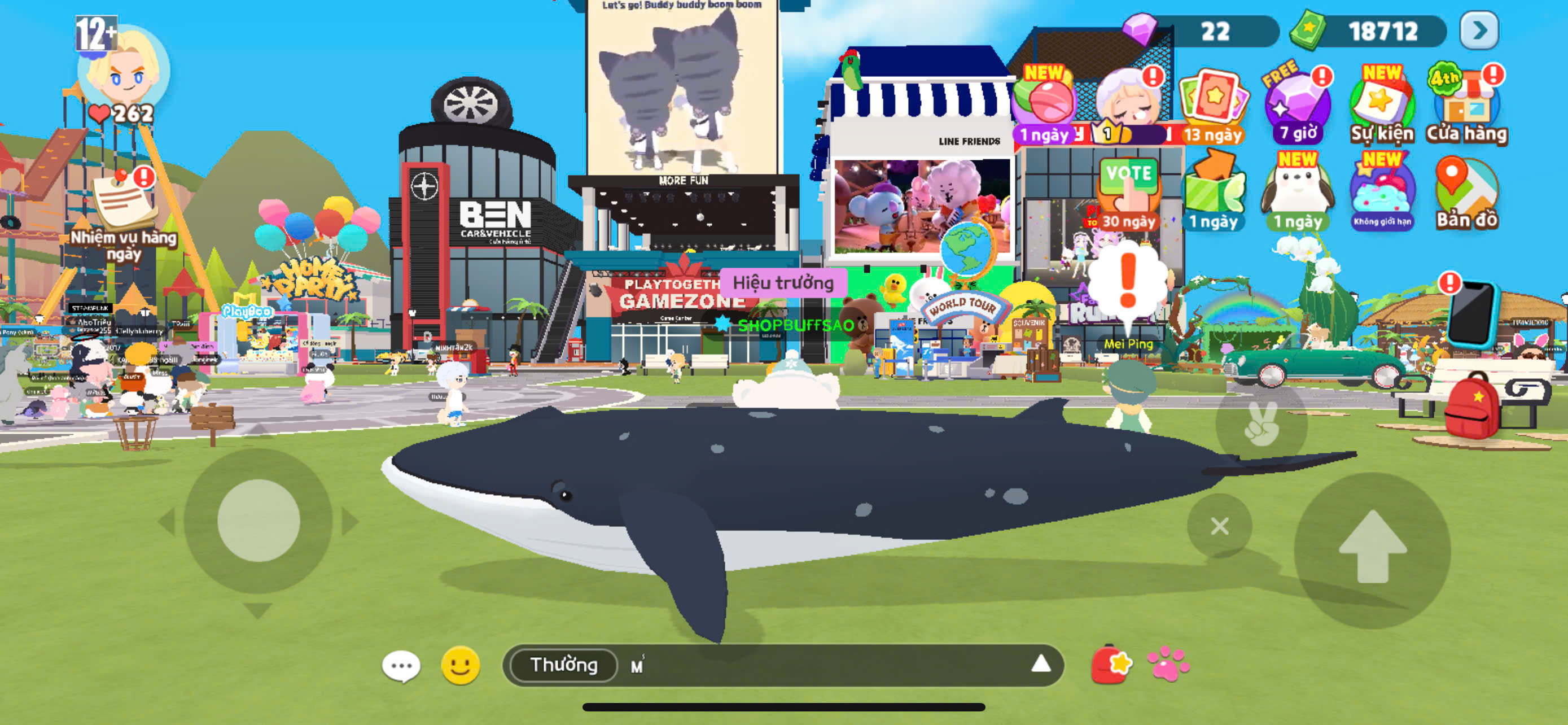 THUÊ CÂU CÁ BÓNG 6